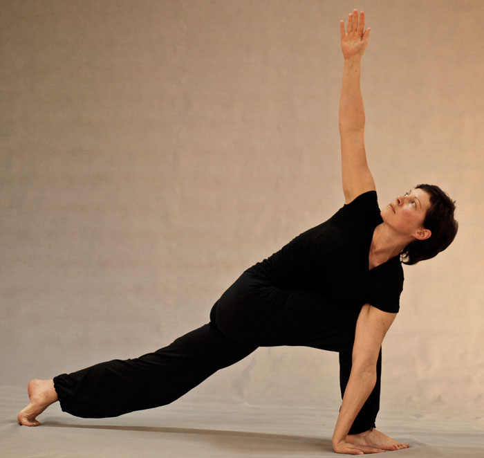 Classical hatha-yoga advanced training